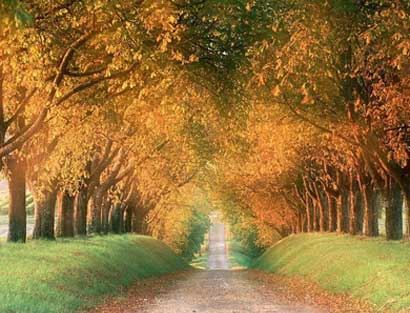 餐饮店取什么名字好 旺财旺运的店铺名称