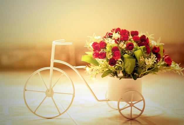 鸡年宝宝起名大全姓田