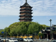 地支的阴阳属性及运行规则是什么？