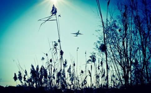 属龙最吉利的小名_2024属龙宝宝乳名