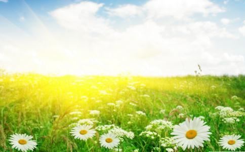 1974年12月12日出生的人命好吗 是什么命