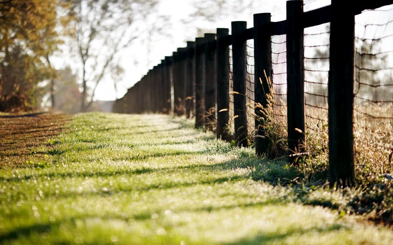 命里带观音的女子？是什么特征？
