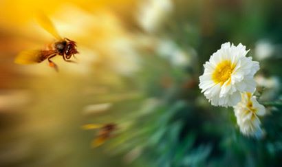 算命讲孩子是佛前童子