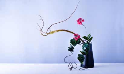 消除周易信息熵消去处理 周信芳女儿周易