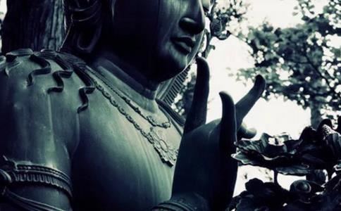 属鼠2025年多大年龄 2025年属鼠人多大