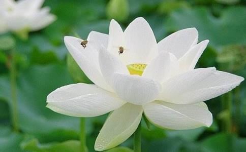 什么样八字易晚婚 易晚婚的八字特征