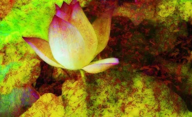 2026年4月15日老黄历，吉日查询