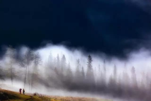 蘑菇抽签表情包