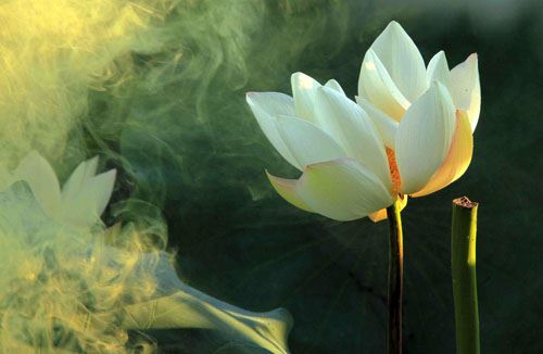 结婚了却对别的男人有心动的感觉  结婚后对别的男人动心了怎么办