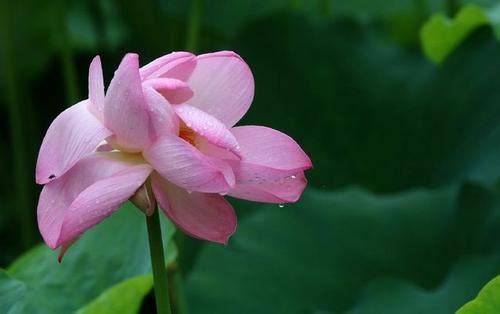 韩国学生制服经典款式