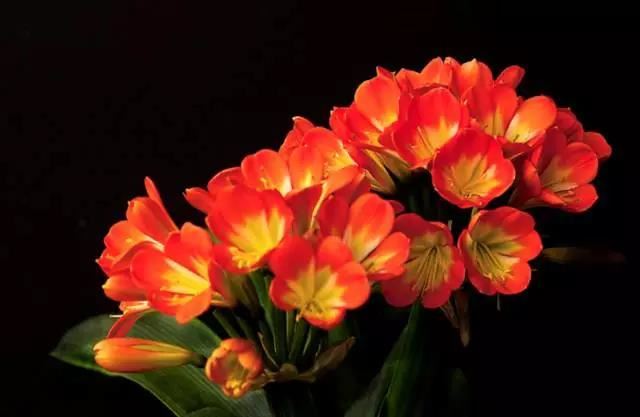 房子坐北朝南厕所该在哪边风水好