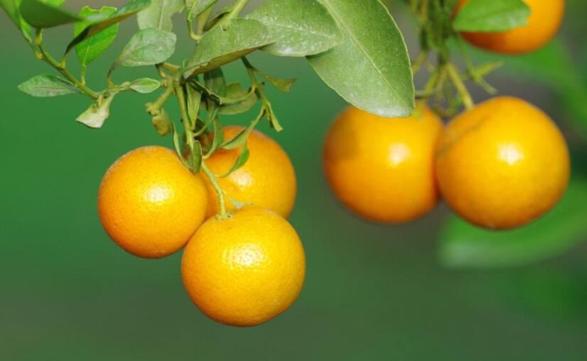 上山龙遇下山虎社会不由你做主；不要和我硬碰硬不然我丢脸你丢命