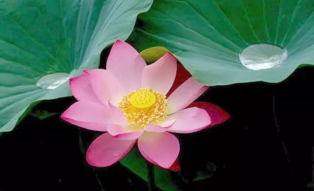 2001 年女子怀五胞胎，如今怎样了？背后的故事令人心酸