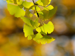 风水水口定位 阳宅风水水口定位