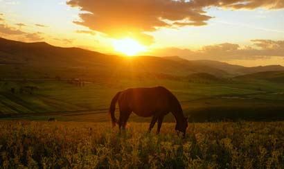 中华万年历创始人,万年历最早的创造者