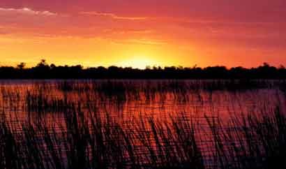 双鱼男看脸还是看身材