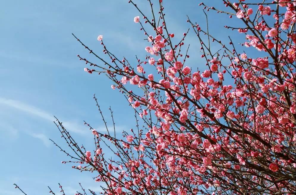 客厅财位放财神爷好吗 摆放位置有什么讲究