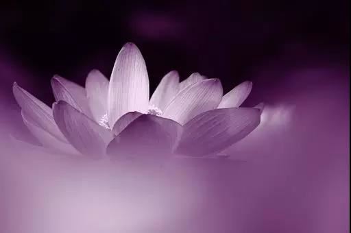 太阳和木星合相是吉还是凶