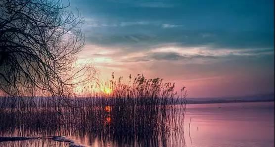 鸡宝宝起名宜用字