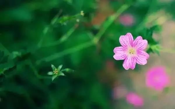 女人哪里长痣会比较克夫？女子的克夫相什么样？