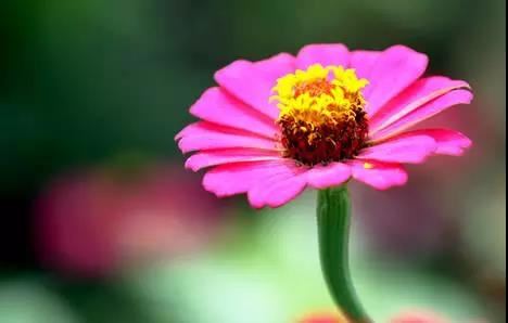 什么面相的人容易犯罪