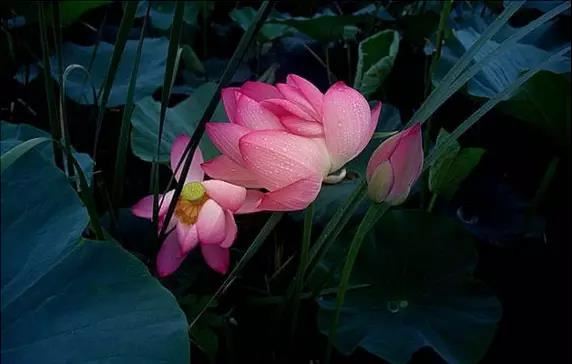 八字比劫是什么意思 八字比劫有何含义