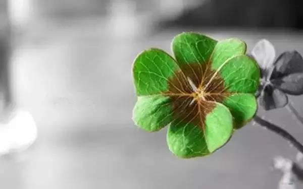 改名字后运气真的好了 改名真的能改运吗