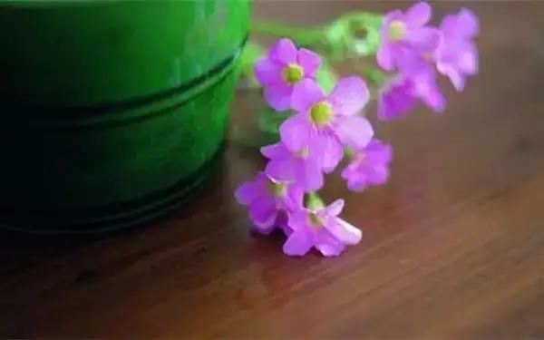 怎样查自己十二宫位 个人星盘十二宫查询