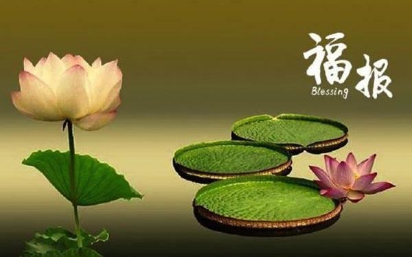 适合茶叶的商标名灵饮阁  有创意的茶叶商标名字