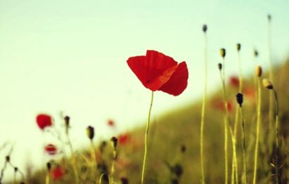 96年属鼠的多大结婚好 96年属鼠找对象方位