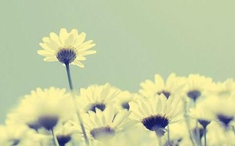 《紫微斗数》：天机.太阴禄存.解神在命宫事业以及职业解析如下