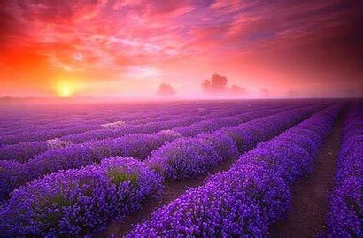 壬寅日柱三命通会 壬寅日柱出生男女命运解析