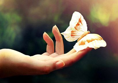 猎犬步伐是什么动物生肖,猎犬啥意思