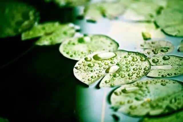 适合取名字的典籍  取名出自典藉