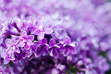 命运塔罗牌阵法数字是什么意思不同阵法意义一样吗？