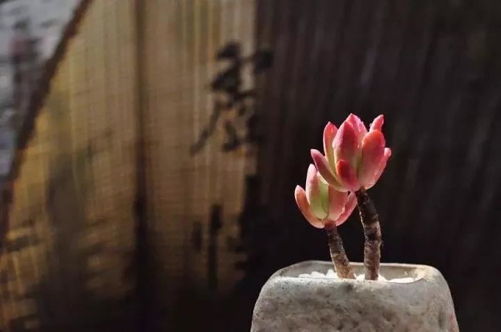 客厅风水布局，房屋客厅风水布局