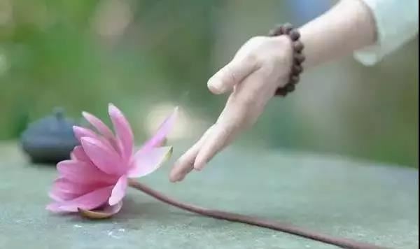 属猪宝宝起名带什么部首