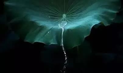 周易卜卦的方法: 解读古代智慧的无穷魅力