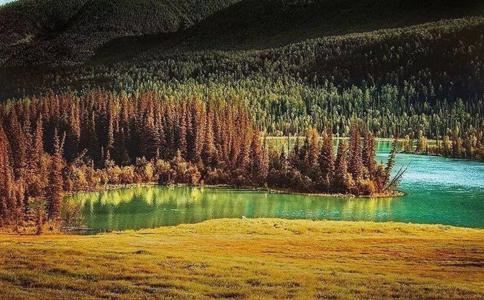 飞龙乘云是什么动物,飞龙在天打一生肖是什么意思？