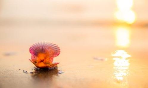 孕妇正月里能剪头发吗？专家解答与建议