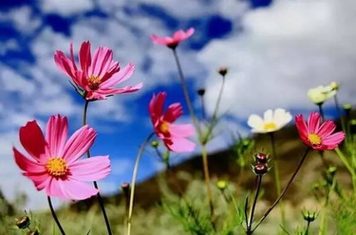 额头上有痣的女人运势好吗？命运如何？