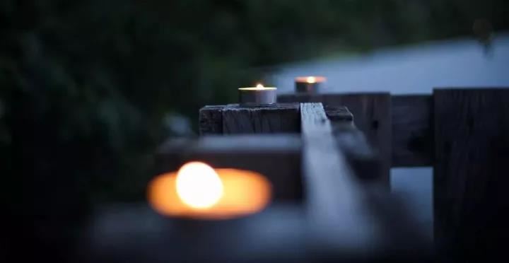 当属狗遇到抛弃他的人时，他们会说什么呢