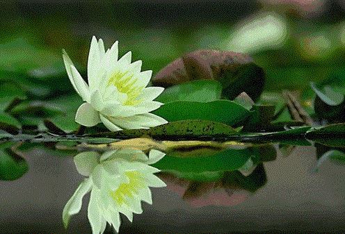 三个字商标名称推荐,怎么查询商标是否已被注册