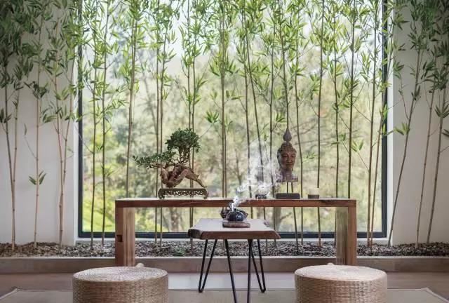 国学经典南怀瑾皇帝内经