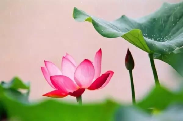 行大运之前的前兆 行大运前征兆为何