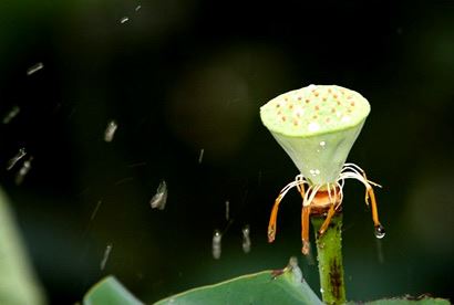 属兔的朋友们一定要看到之后#国学文化
