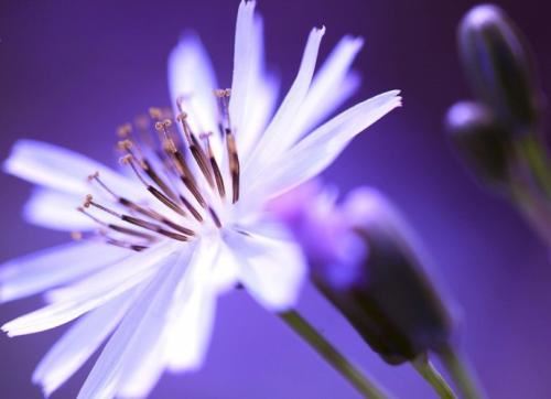 2025年农历八月二十一是结婚吉利日子吗？