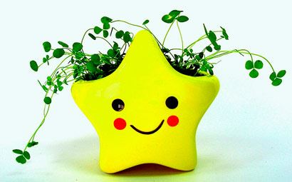 菩萨相的女人性格命运解析