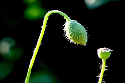 周易六十四卦的来历 周易六十四卦爻完整解释表
