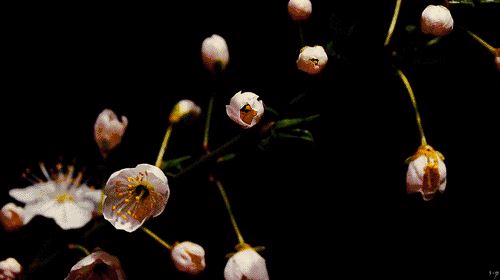 1976年属龙人最旺的年龄,1976年属龙的人哪年运气好